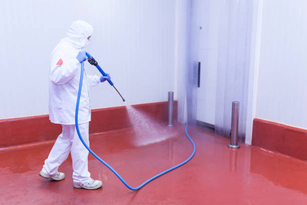 Reliable Brackettville, TX Pressure Washing Services Solutions